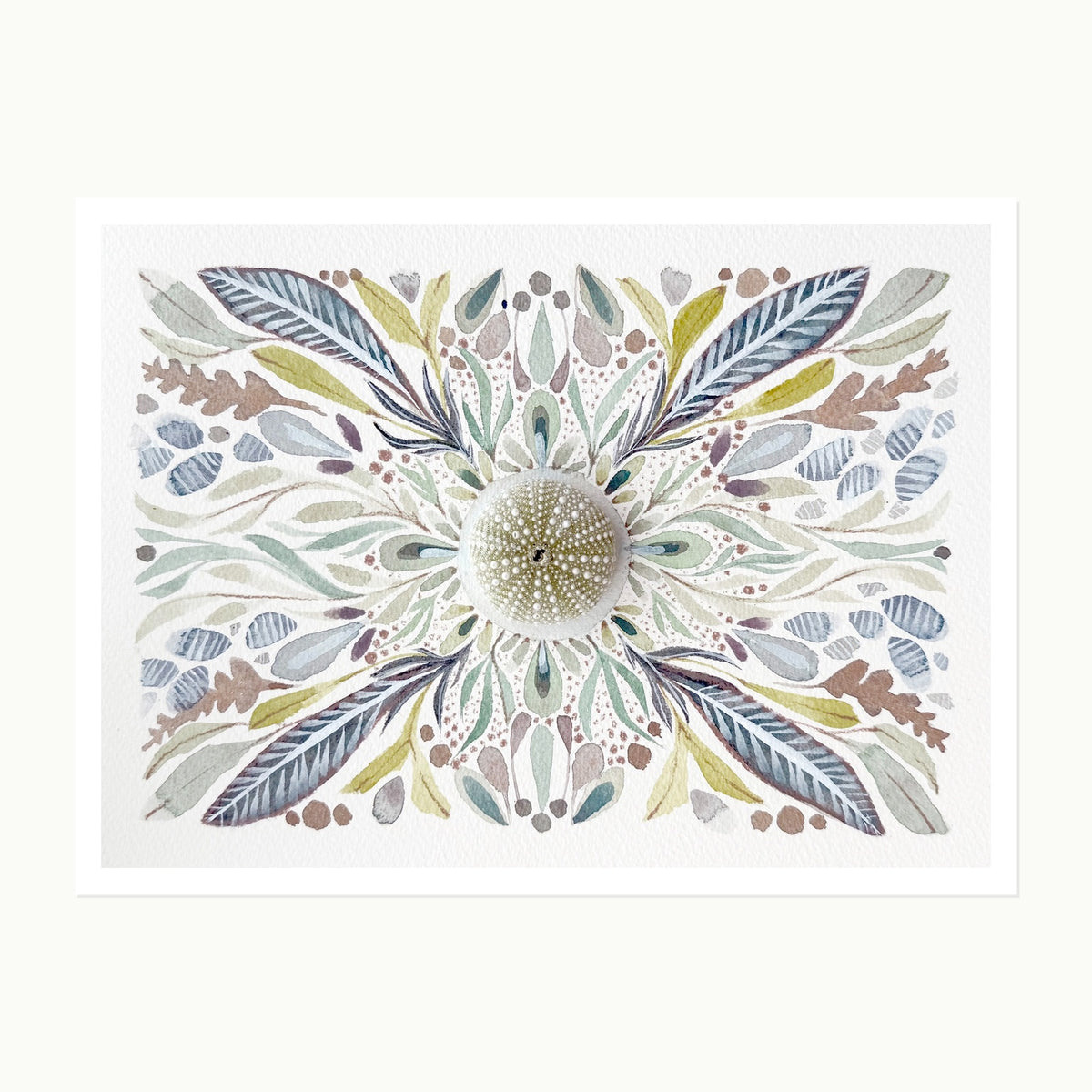 Pocketstories No. 8 — Sea Urchin, original dimensional watercolor artwork with found sea urchin