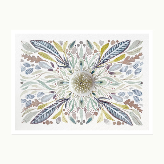 Pocketstories No. 8 — Sea Urchin, original dimensional watercolor artwork with found sea urchin